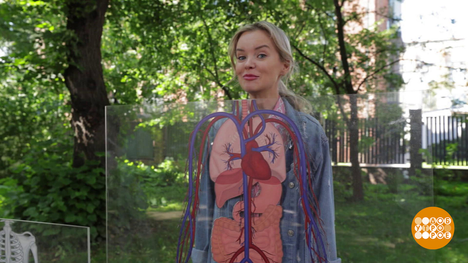 Лето на исходе? Будь пещерным человеком! Доброе утро. Фрагмент выпуска от 30.08.2025