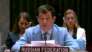 Позитивные сдвиги после саммита РФ — США «до потери сна пугают» Киев и его покровителей, заявил Полянский