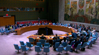 США понимают необходимость устранения первопричин украинского конфликта, заявил Полянский