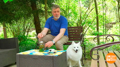 Долой вредные привычки! Все в сад! Доброе утро. Фрагмент 