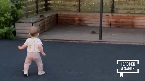 Контроль качества. Крысы в ЖК. Человек и закон. Фрагмент 