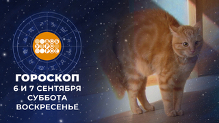 Гороскоп на 6 и 7 сентября. Доброе утро. Суббота. Фрагмент 