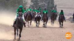 Ах вы кони, мои кони! Доброе утро. Фрагмент 