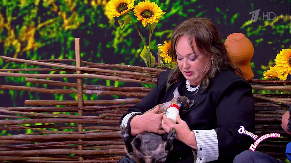 «Иди к тете Ларисе». Лариса Гузеева примерила на себя роль мамы козы. Давай поженимся! Фрагмент выпуска от 05.09.2025