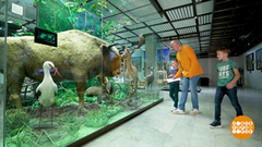 Папа вам не мама. С ним в музее не соскучишься. Доброе утро. Суббота. Фрагмент 