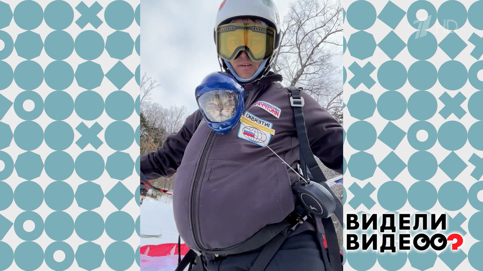 Кот-спидрайтер. Видели видео? Фрагмент выпуска от 14.09.2025