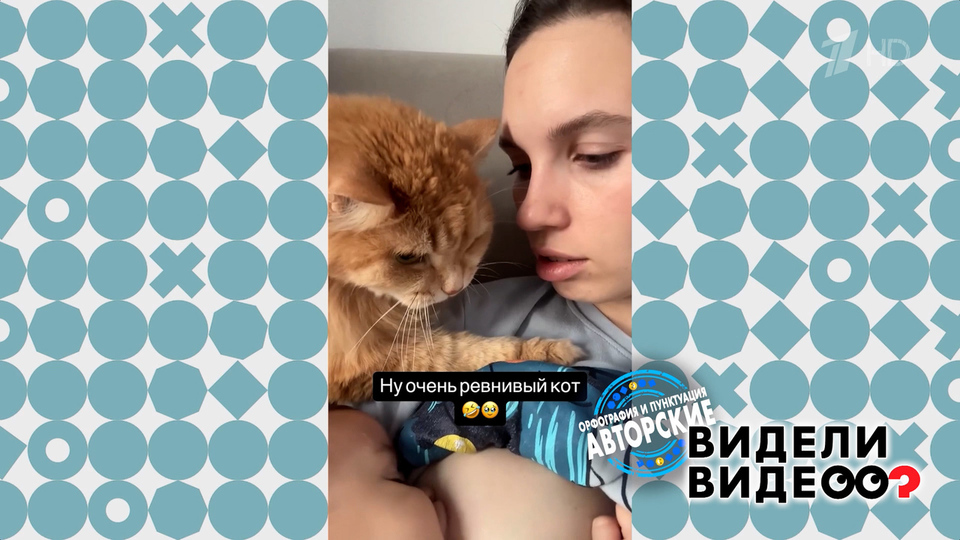 Очень ревнивый кот. Видели видео? Фрагмент выпуска от 14.09.2025