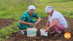 Старость меня дома не застанет! Я помогаю людям… Доброе утро. Фрагмент