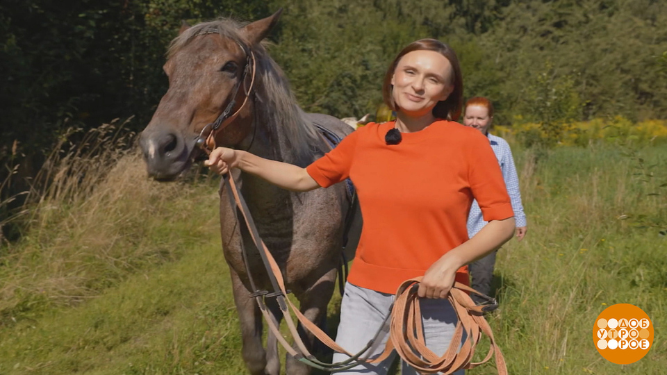 Покатай меня, лошадка! Без седла… Доброе утро. Фрагмент выпуска от 17.09.2025