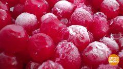 Замораживаем все! Доброе утро. Фрагмент 