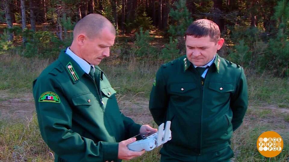Хранители леса. Доброе утро. Суббота. Фрагмент выпуска от 20.09.2025