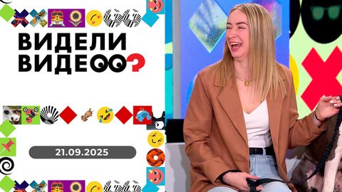 Мотопес, танцующий ребенок, кошка-няня. Видели видео? 