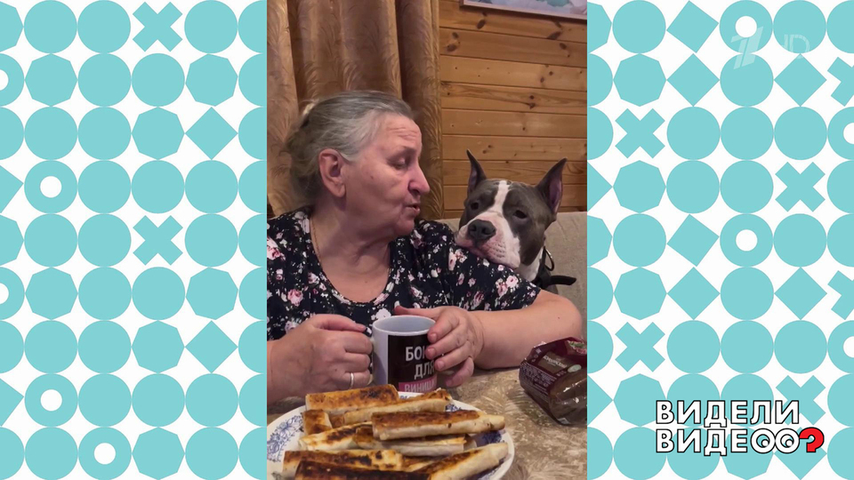 Стаффорд и его бабушка. Видели видео? Фрагмент выпуска от 21.09.2025