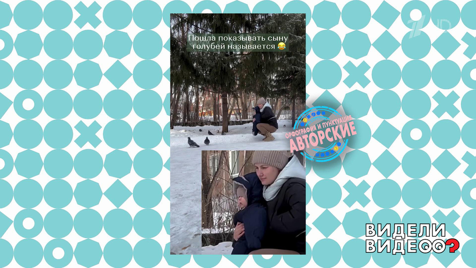 Как правильно показать ребенку голубей. Видели видео? Фрагмент выпуска от 21.09.2025