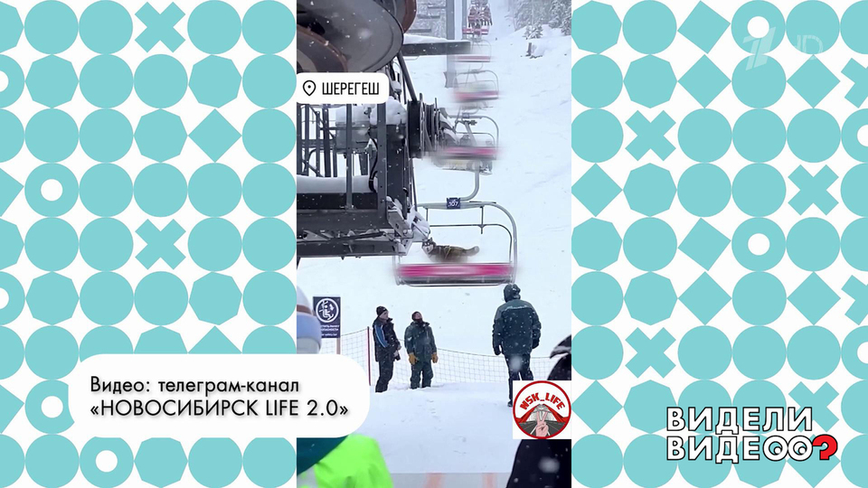 Хаски на фуникулере. Видели видео? Фрагмент выпуска от 21.09.2025