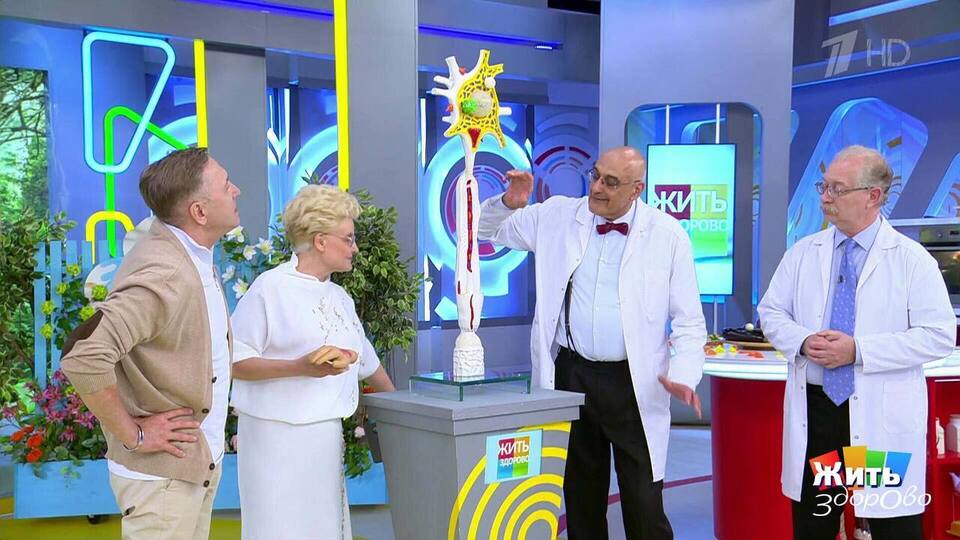 Собака укусила — что делать, чтобы себя спасти? Жить здорово! Фрагмент выпуска от 22.09.2025