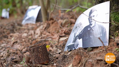 «Август». Тайны Шиловичского леса. Доброе утро. Фрагмент 