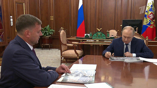 Владимир Путин провел рабочую встречу с губернатором Запорожской области Евгением Балицким