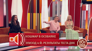 «Это недоучившаяся актриса». Руслан Кравец отвергает обвинения приемной дочери в рукоприкладстве. Пусть говорят. Фрагмент 