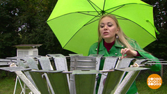 Как считают дождь. Доброе утро. Фрагмент 