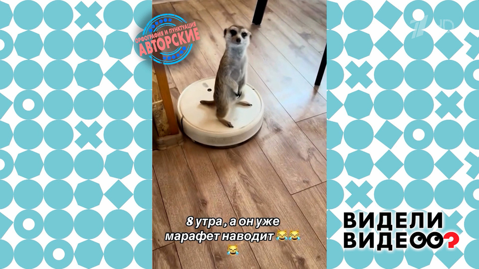Прокат на пылесосе. Видели видео? Фрагмент выпуска от 28.09.2025