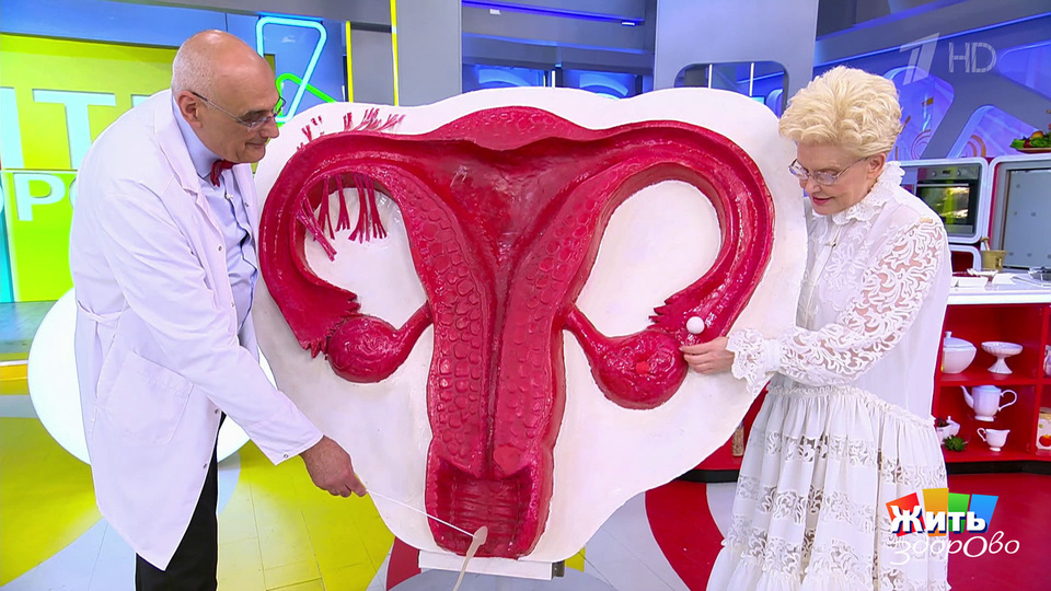 Когда нужна экстренная контрацепция? Жить здорово! Фрагмент выпуска от 02.10.2025