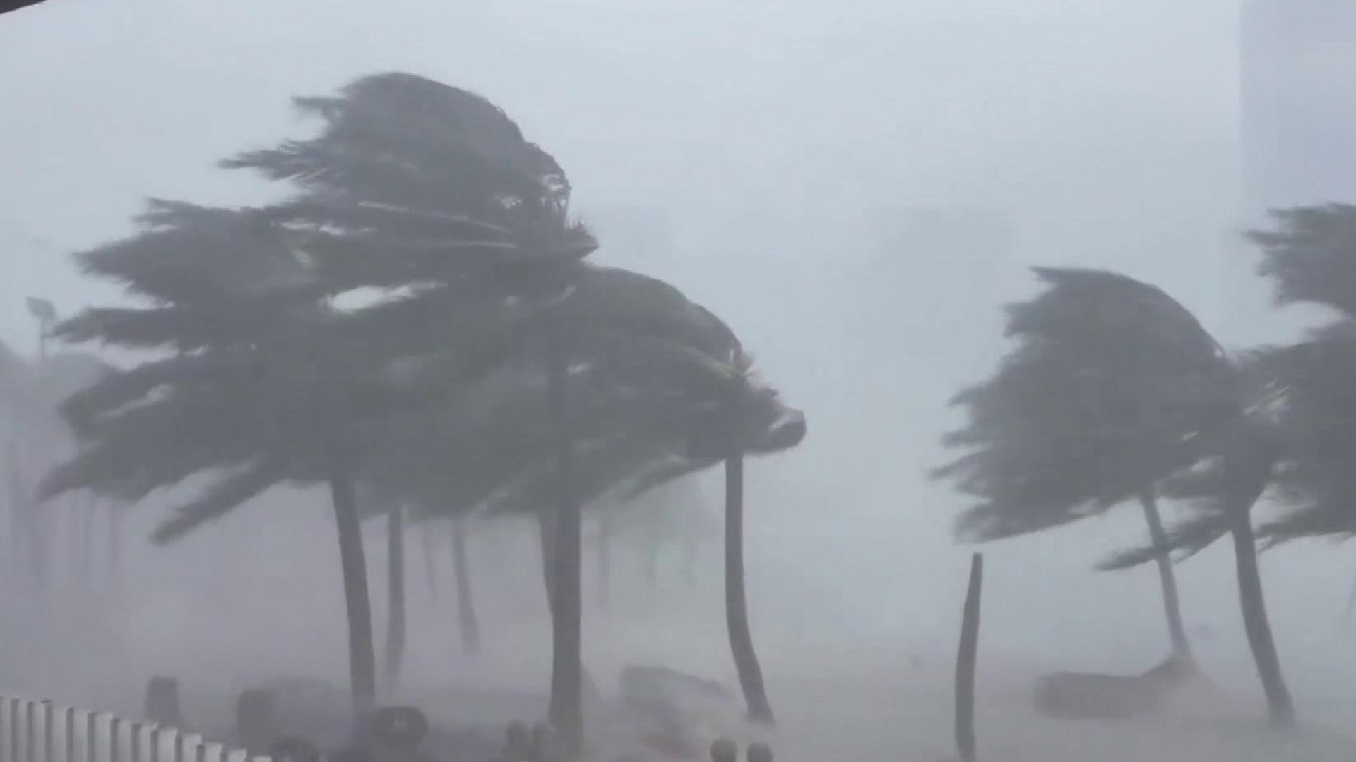 Typhoon “Halong” Hits Japan’s Izu Islands