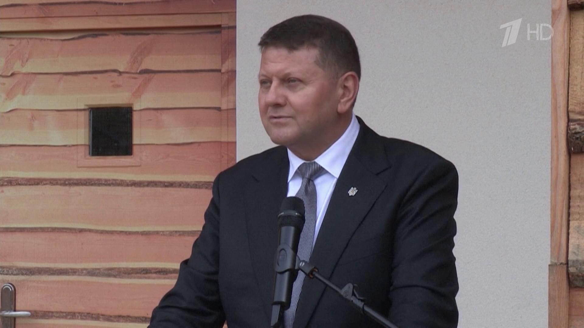 Валерий Залужный назвал заявления Зеленского о ВСУ бессмыслицей