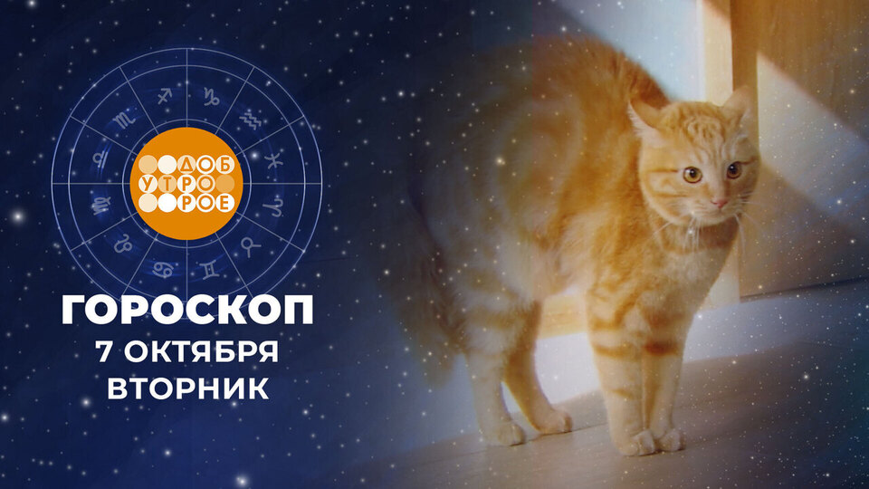 Гороскоп на 7 октября. Доброе утро. Фрагмент выпуска от 07.10.2025