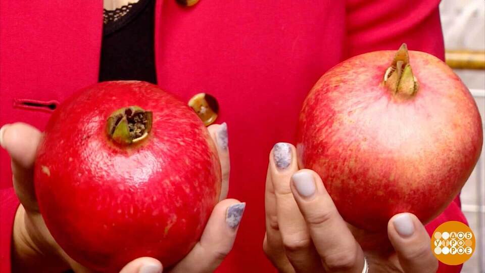 Гранат: красивый — не всегда вкусный… Доброе утро. Фрагмент выпуска от 07.10.2025 на Первом канале // 7 октября 2025 Первый // смотреть Гранат: красивый — не всегда вкусный… Доброе утро. Фрагмент выпуска от 07.10.2025 online без регистрации