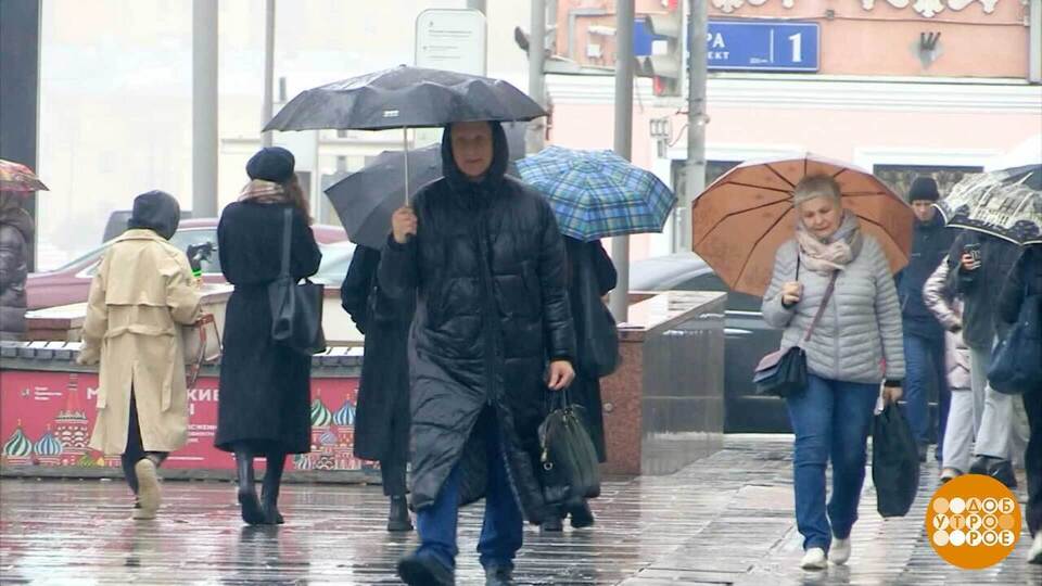 Выбираем идеальный зонтик. Доброе утро. Фрагмент выпуска от 07.10.2025