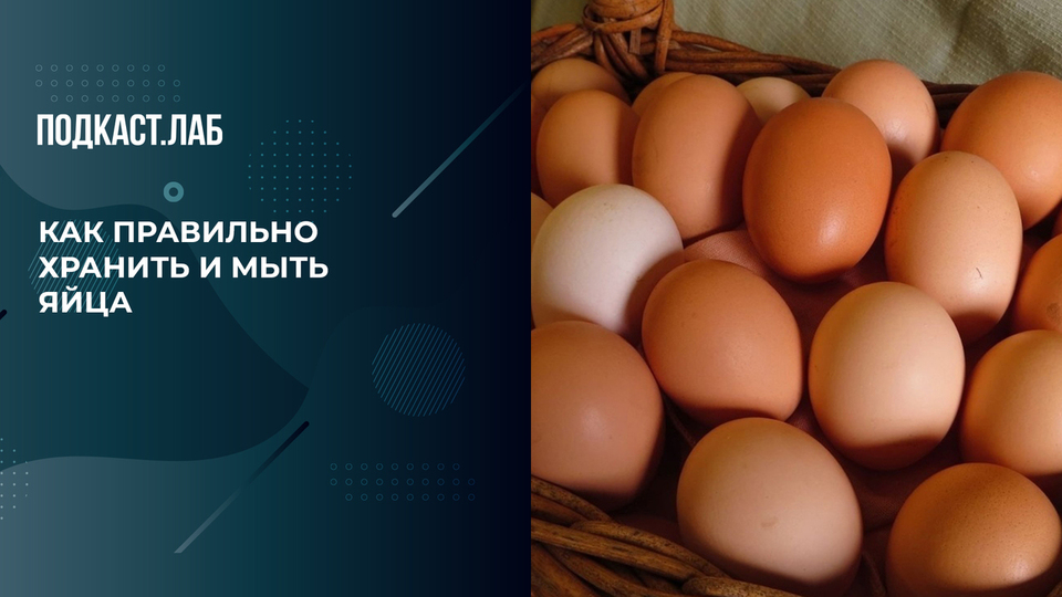 «Яйца перед холодильником не моем!» Как избежать сальмонеллеза. Обман веществ. Фрагмент выпуска от 09.10.2025