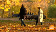 Идем гулять — и никакой хандры! Доброе утро. Суббота. Фрагмент