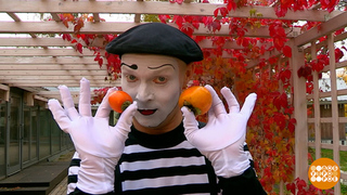 Выбираем хурму, которая не вяжет. Доброе утро. Фрагмент 