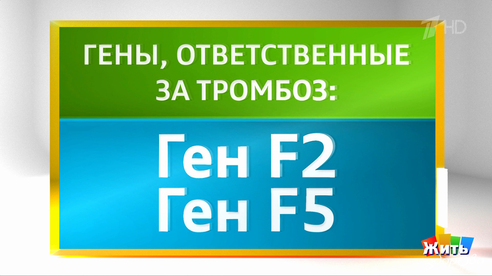 Чем опасны тромбы? Жить здорово! Фрагмент выпуска от 13.10.2025