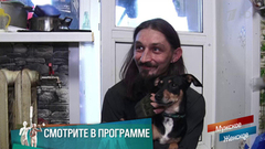 «Отец избил семимесячного сына». Графские развалины. Мужское / Женское. Краткое содержание
