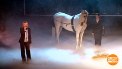 Театр «Ленком Марка Захарова». «Задворки» возвращаются! Доброе утро. Фрагмент 