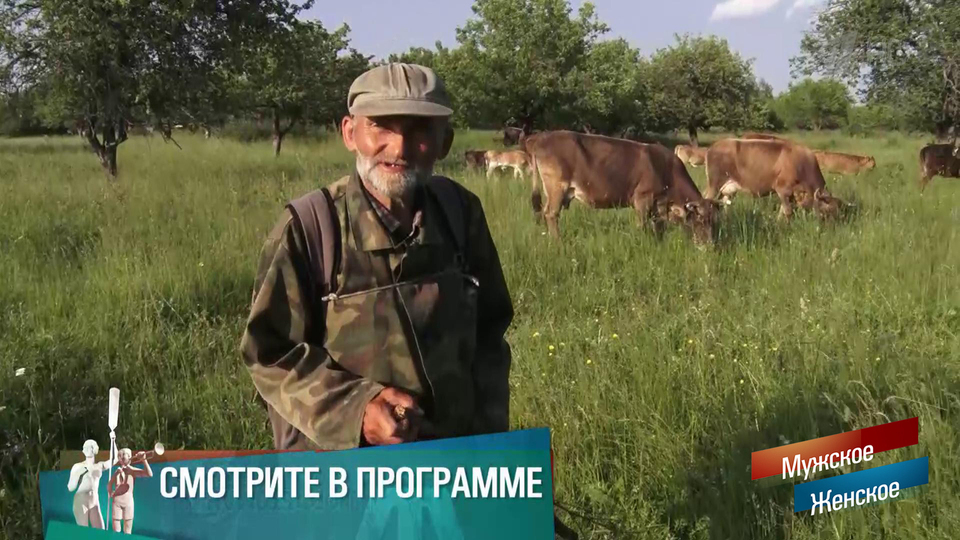 «Коровы — мои друзья». Пастух своих коров. Мужское / Женское. Краткое содержание выпуска от 14.10.2025