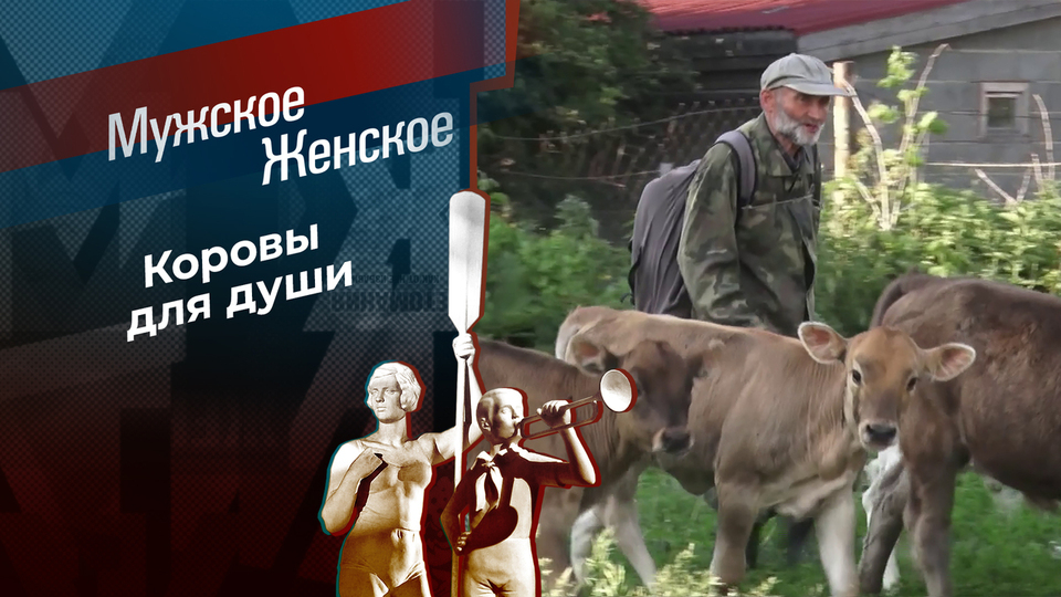 Пастух своих коров. Мужское / Женское. Выпуск от 14.10.2025