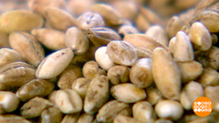 Перловка, жемчужная каша! Доброе утро. Фрагмент 