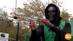 Чей каштан крепче? Доброе утро. Фрагмент 