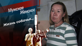 Собаки как дети, а дети как собаки. Мужское / Женское