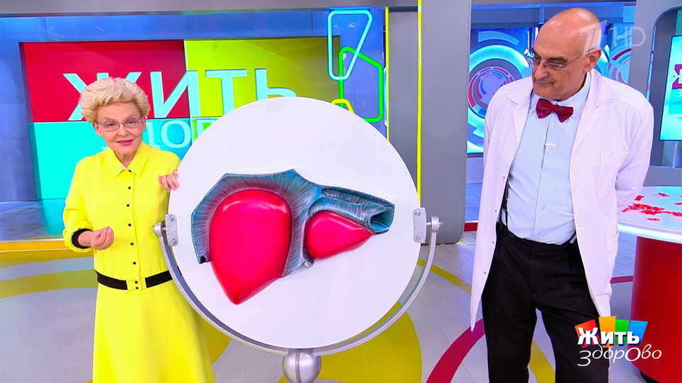 Кошмар спит днем, чтобы ночью работать. Жить здорово! Фрагмент выпуска от 16.10.2025