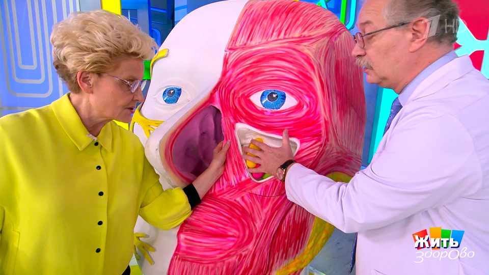 Как гайморит может привести к менингиту? Жить здорово! Фрагмент выпуска от 16.10.2025