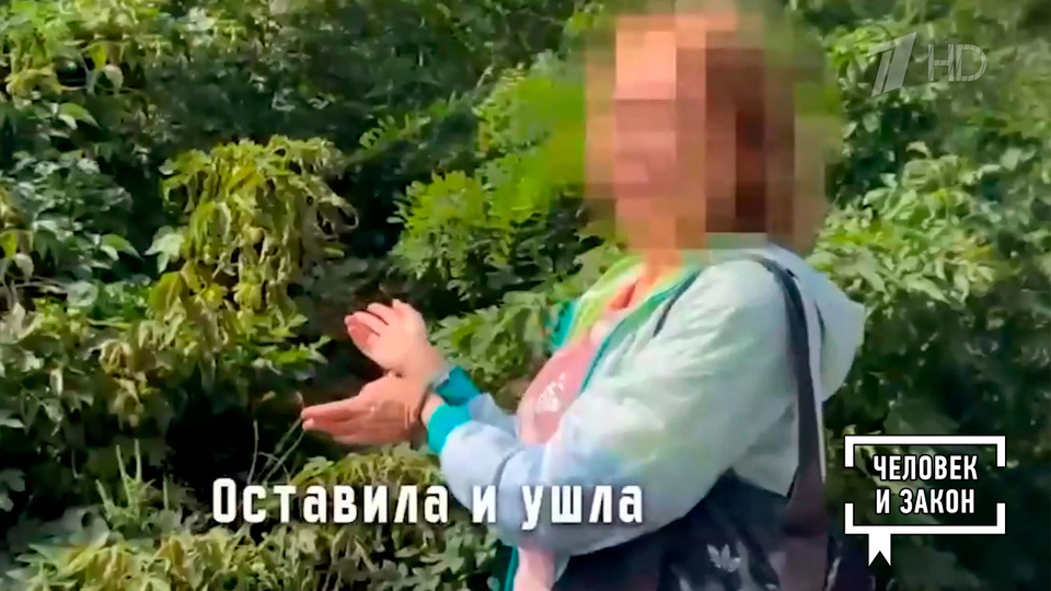 Видео недели: завербованная; попытка теракта; произвол ТЦК. Человек и закон. Фрагмент выпуска от 17.10.2025