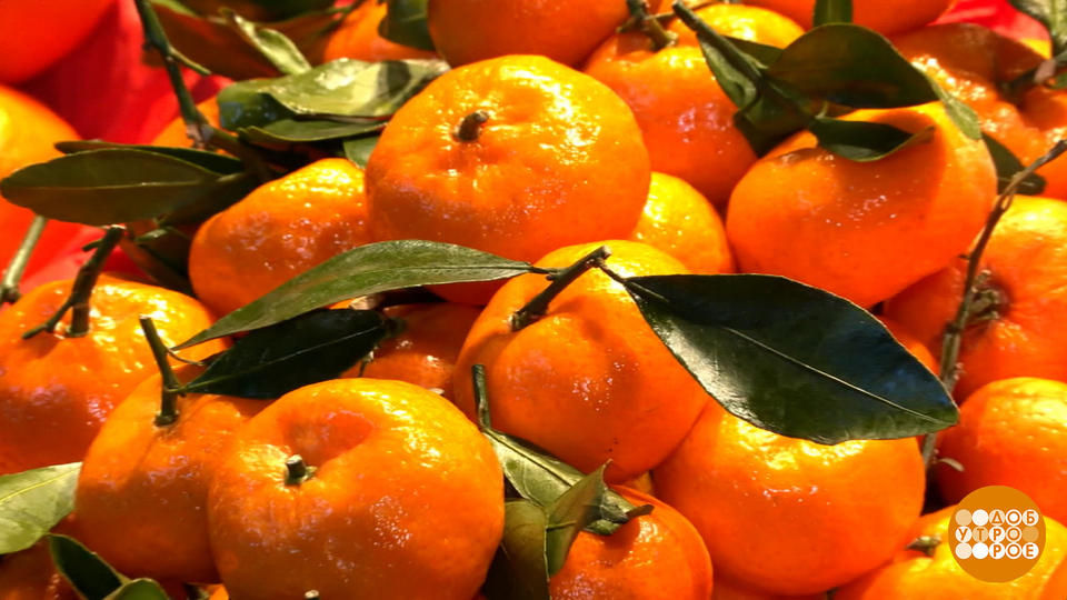 Мандарины, вы откуда? Доброе утро. Фрагмент выпуска от 20.10.2025