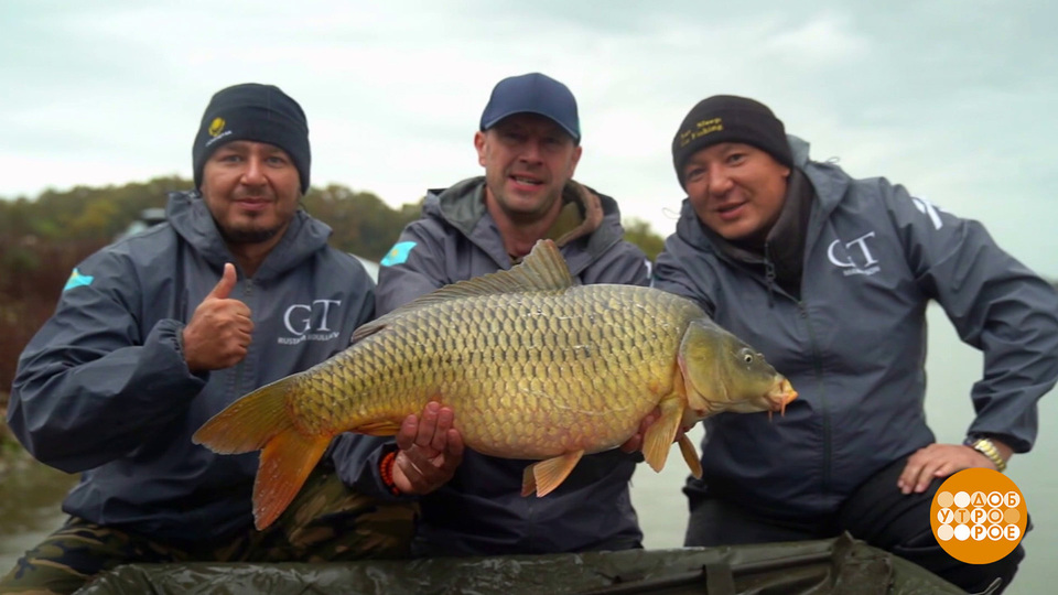 Ловись, рыбка! Доброе утро. Фрагмент выпуска от 20.10.2025