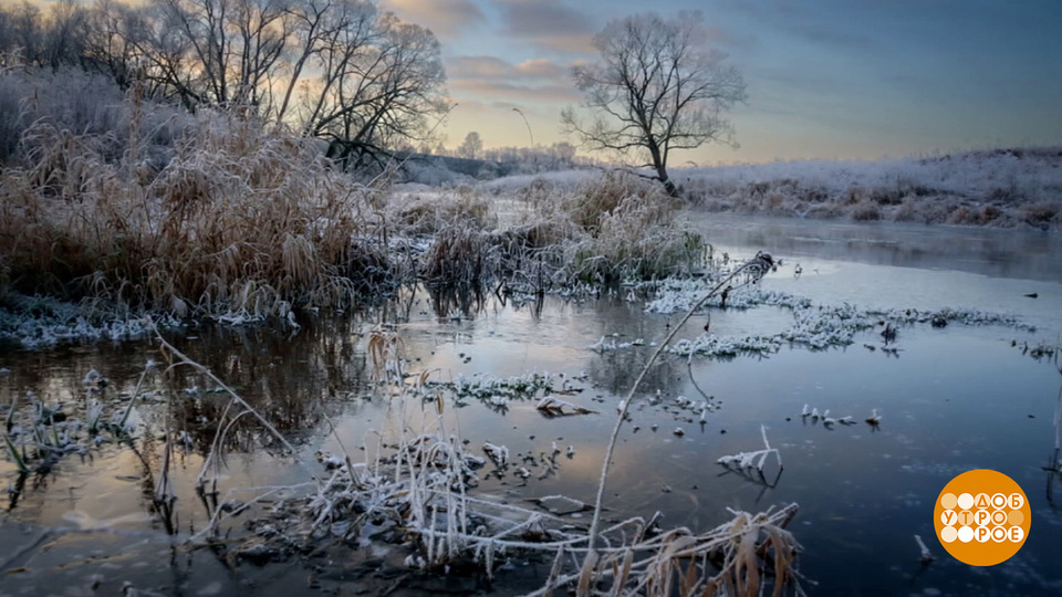 Предзимье. Скоро первый снег! Доброе утро. Фрагмент выпуска от 20.10.2025