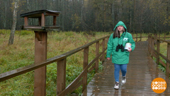 Птички, угощайтесь! Доброе утро. Фрагмент 