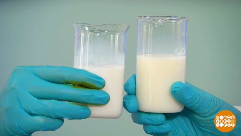 Скимпфляция: молоко, да не то… Доброе утро. Фрагмент выпуска от 22.10.2025